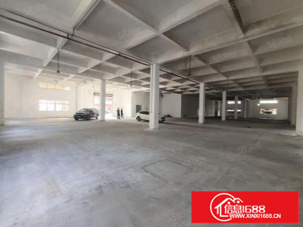 清溪浮岗标准一楼1300平招租现成装修可分租可办环评