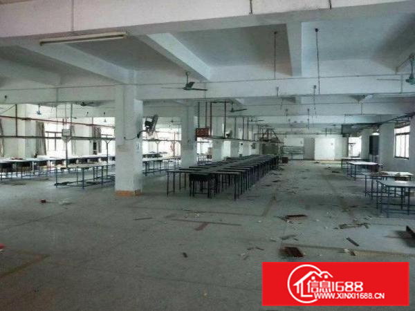 石湾镇标准独院厂房出租2100消防喷淋包办环评