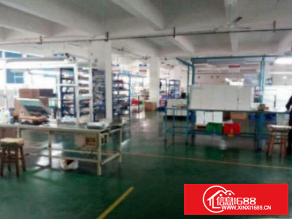 万江成熟工业园厂房分租一楼1000平方低价招租中形象佳，空地