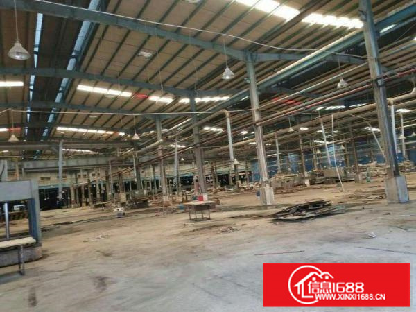 新圩南坑新出原房东滴水8米高钢构招租，可分租