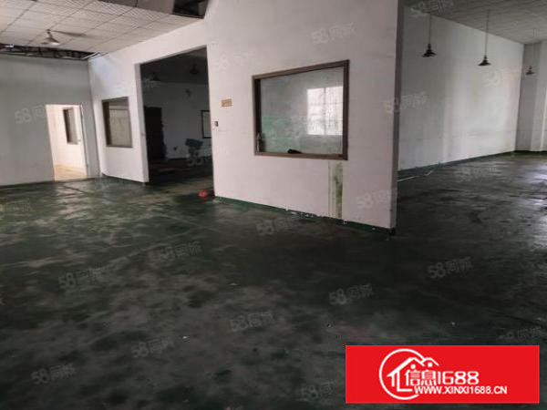 大朗镇新出小面积原房东独门独院单一层钢构厂房2000平方