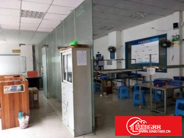 出租龙岗区横岗一楼标准厂房1000平