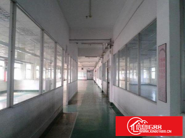 横岗六约深坑村独院厂房5100平方分租