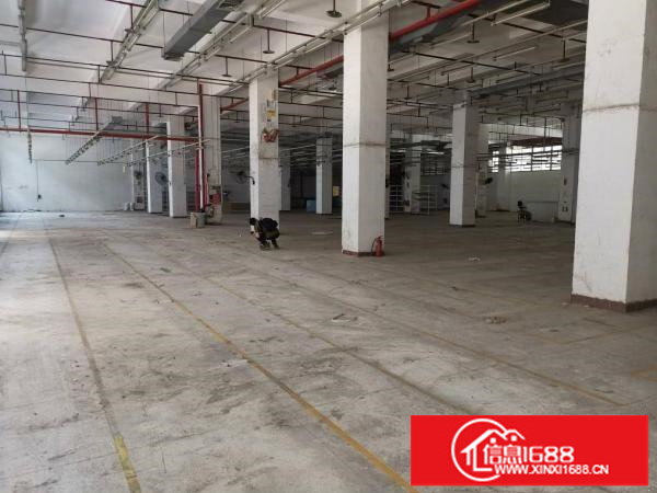 横岗新出独院厂房20000平五层有红本整租报价20