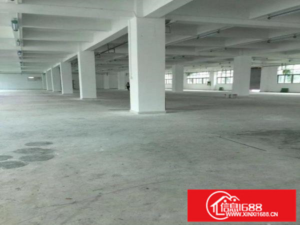 龙华民治新出楼上1300平米标准厂房出租