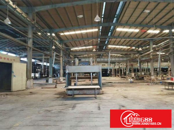 新圩南坑新出原房东滴水8米高钢构招租，可分租