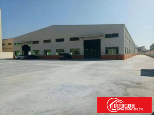 新圩高速出口原房东独院钢构5000平方，滴水八米