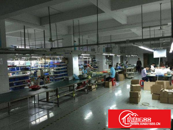 龙岗区龙西楼上1200平精装修厂房出租