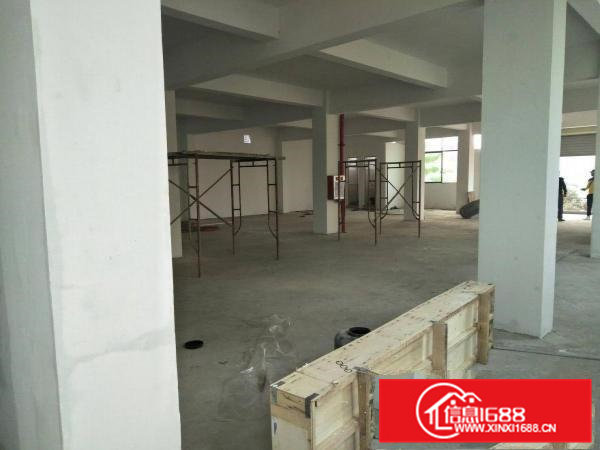 全新花园厂房出租700平方