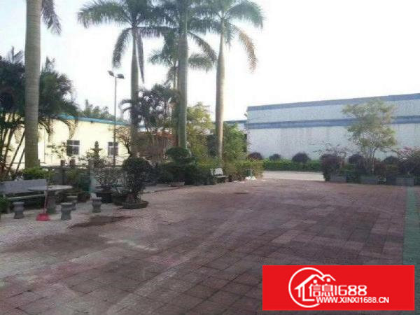 坑梓新出独院砖墙钢构3000平米，带隔热，滴水7米。