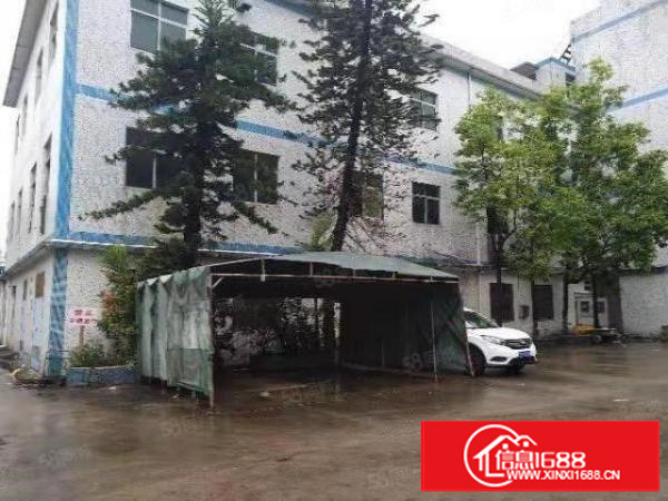 寮步石步独院厂房出租2000平方，原房东