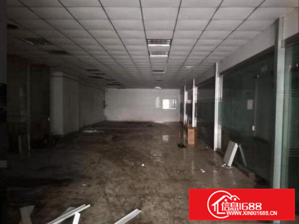 五联村新出一楼厂房1200平，租金便宜，无公摊原房东