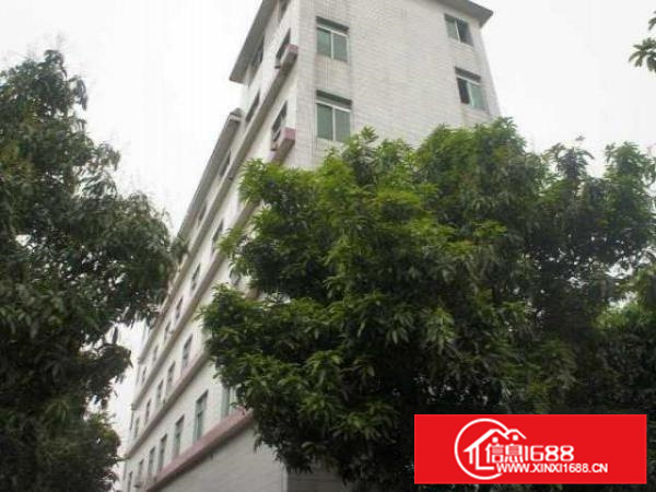 南海罗村小型厂房、仓库及50?80方办公室招租位置佳形象优越