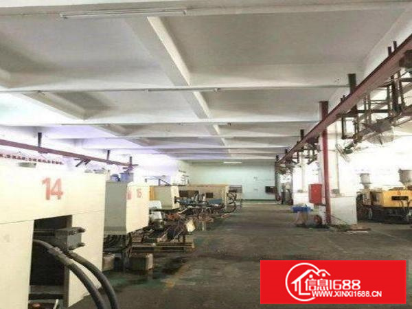 惠阳新墟原房东厂房1楼1000平2楼3000平出租