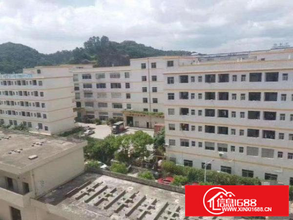 临深楼上无尘车间1150方，带办公室，无转让费