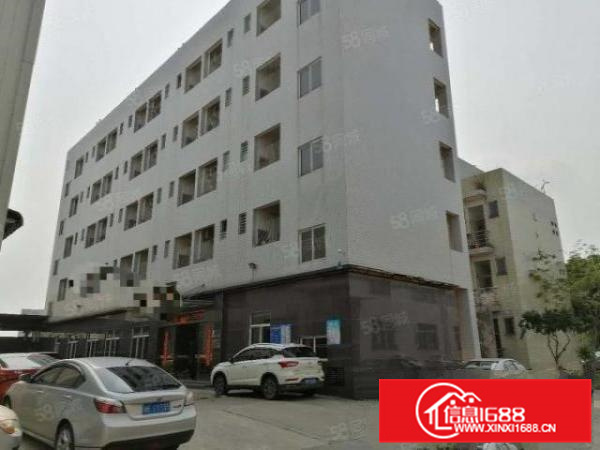 狮山广云路边10000方独门独院厂房