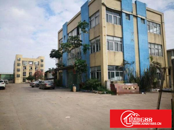 高埗独院标准厂房1-3层6500平方出租独立豪华办公室