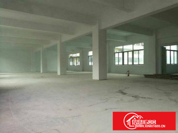 荷路大空地独院厂房宿舍仓库招租，可分租