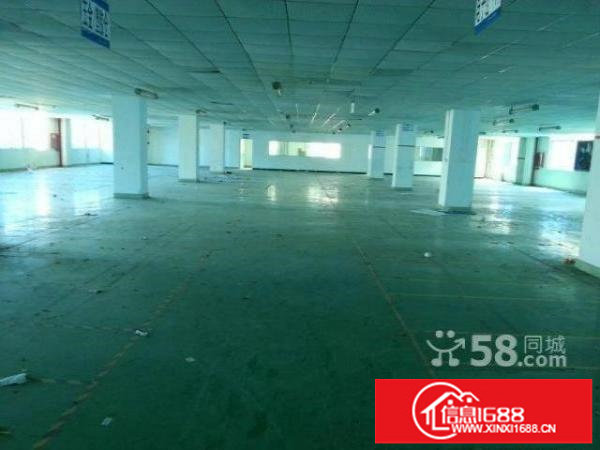 坂田利金城新出带装修厂房2000平低价转让无转让