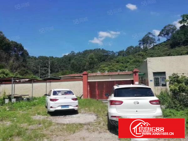 塘厦龙背岭钢构独院1400平，滴水6米微偏可噪音粉尘污染行