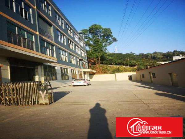 横岗地铁站附近独院4000平方厂房大小200平起租