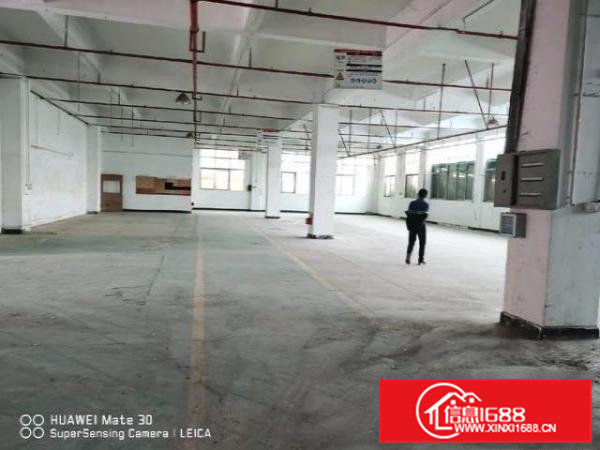 园区标准厂房四楼2800平米