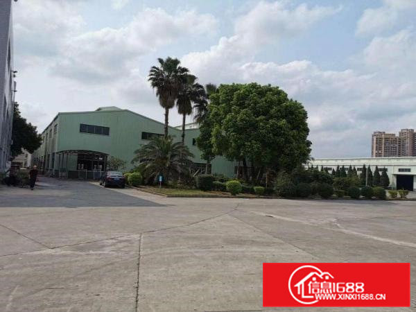 东坑角社独立园厂房出租