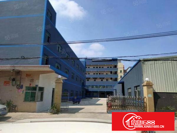 可签十年！可办环评！大宁6500平精装独院厂房出租！超大空地