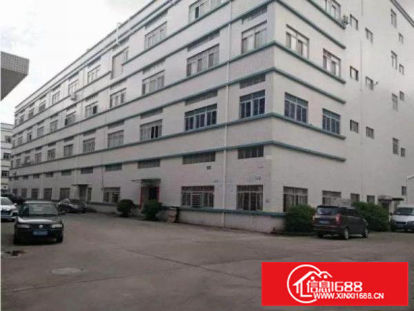 石排新出楼上800平方带装修水电齐全带货梯