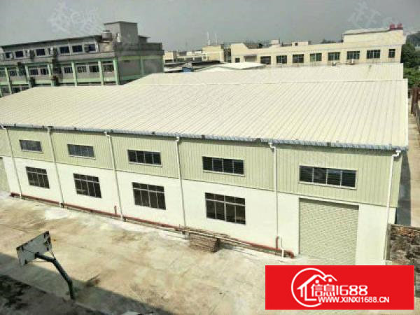 大朗钢构独院厂房出租滴水10米高空地大8080平方