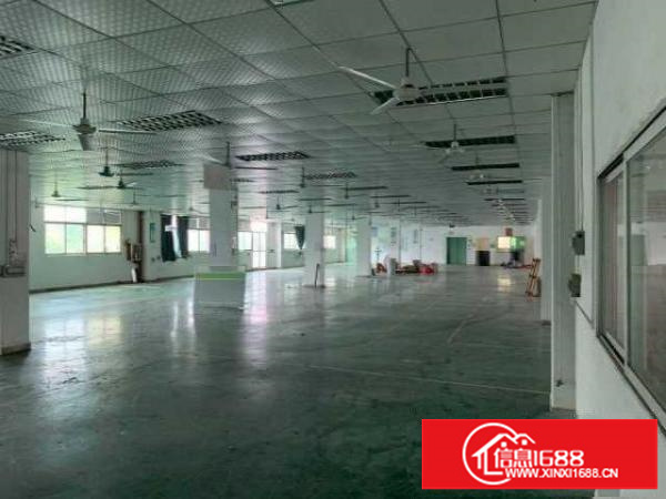 出租龙岗区平湖厂房和厂房