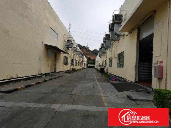 凤岗10米高钢构3万多方火爆招租