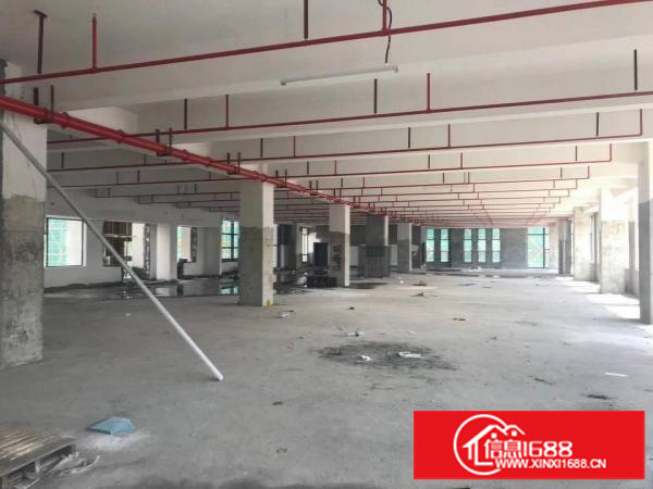 平湖原业主厂房一楼1500平方出租，急急急