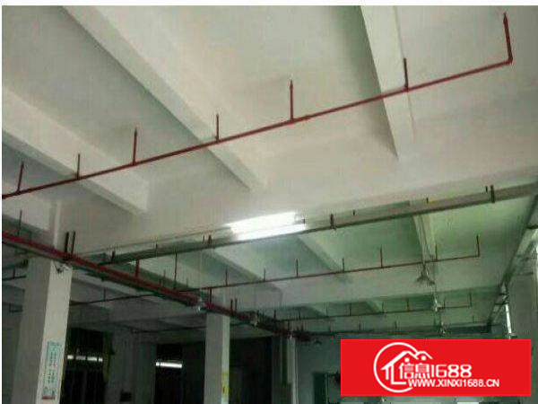 布吉百鸽笼标准二楼700平米出租，带电梯