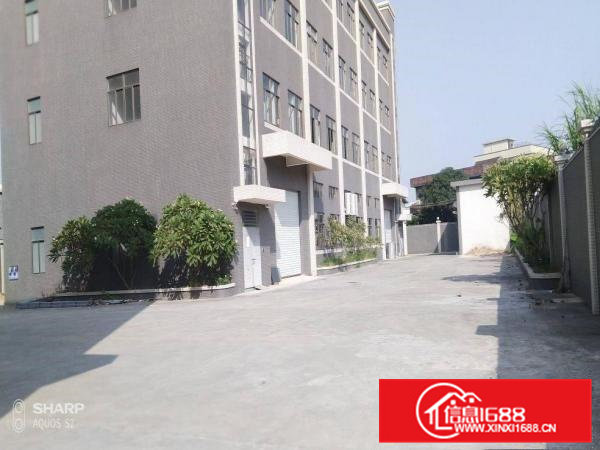 石排独门独院2000平方厂房形象好