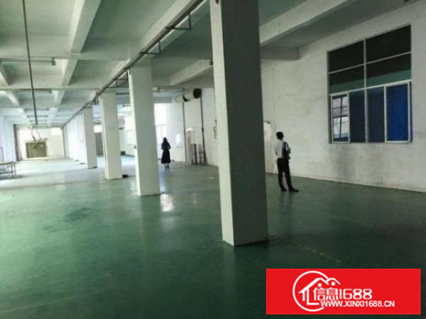 四联独门独院新装修4600平方厂房出租可分租有消防