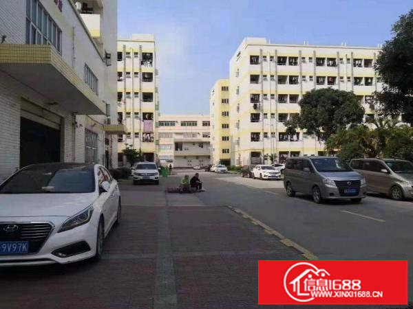 沙井新桥第三工业区新出楼上精装修厂房1300平米