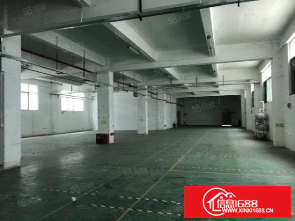 坂田一二楼标准厂房出租，大小可分租