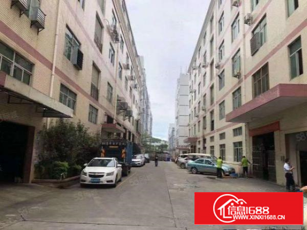 注塑模具带行车凤岗金凤凰新出一楼高6米1000平厂房