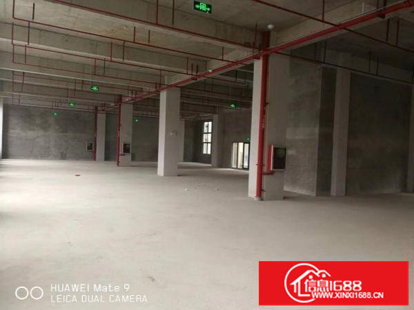 坪山坑梓新出独院标准红本厂房120000平合同十年可分栋租