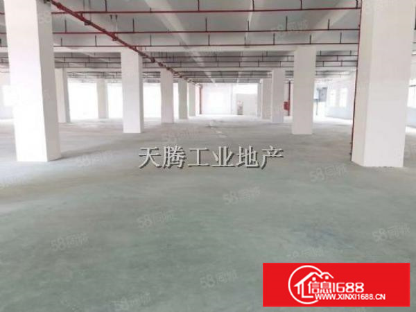 （出租）乐从良村工业区全新标准厂房带2台5吨货梯