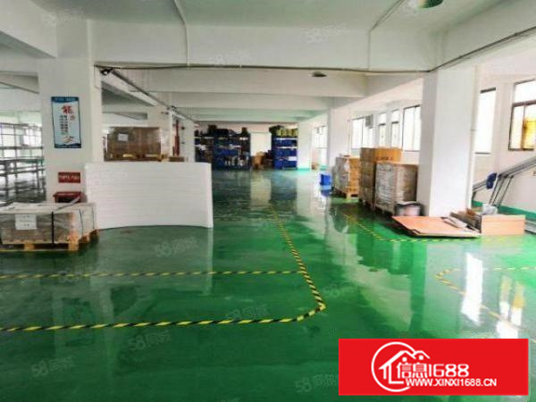 可办环评，均安镇1000方标准带装修厂房，有办公，水电齐全