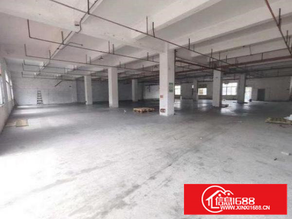 新空一楼1000方带办公室，空地超大方便进出9米6大车