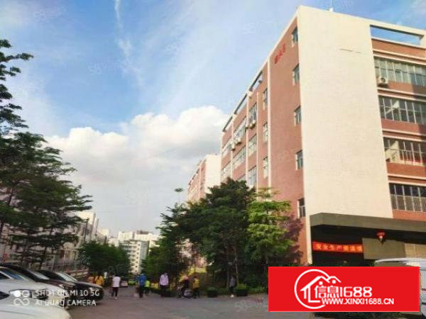 出租石岩双高速旁12500平红本独院厂房租金25元