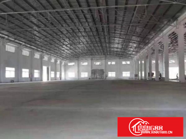 低价招租！容桂桂洲钢构1500平方厂房