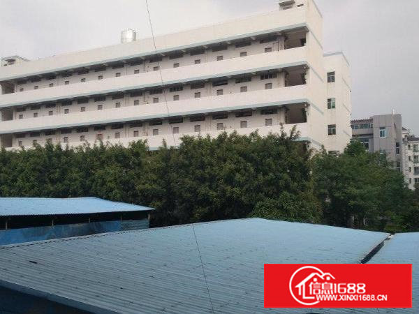 塘厦科苑城新出楼上带装修3118平方米厂房出租