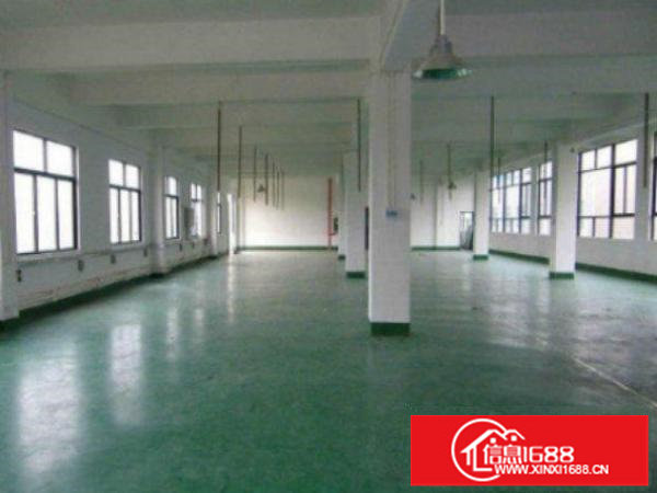 龙岗辅城坳工业大道标准厂房300平出租临近主干道大交通方便