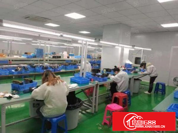 塘厦靠凤岗新出带地坪漆精装修1000平方厂房出租，价格好谈