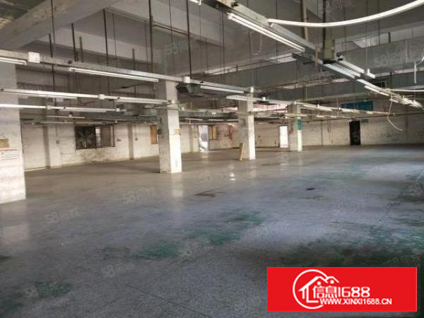 谢岗原房东标准独院厂房总5550平方出租