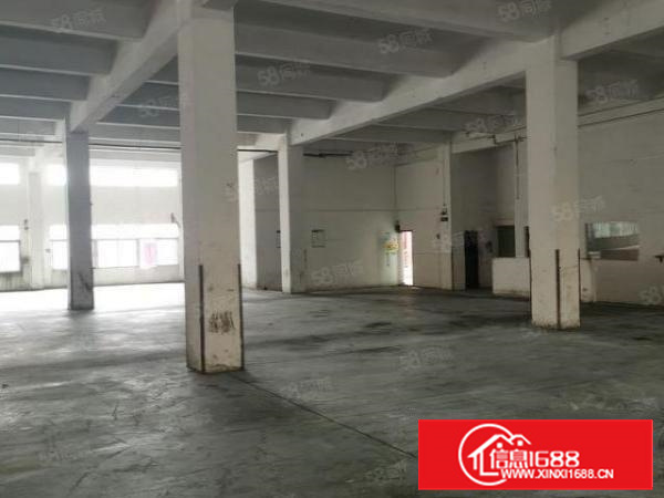 厦边新空出独门独院厂房招租